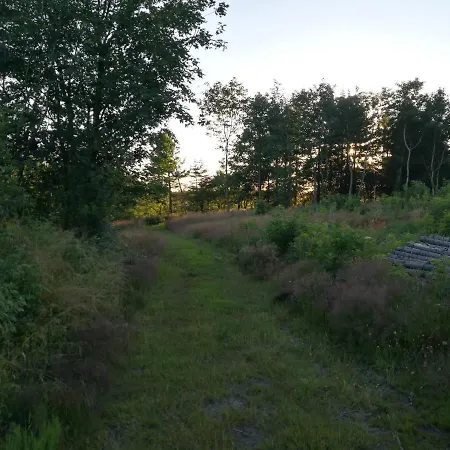 Сasa de vacaciones Haervejsly - Perfekt Familiebase Til Oplevelse Af Sydjylland