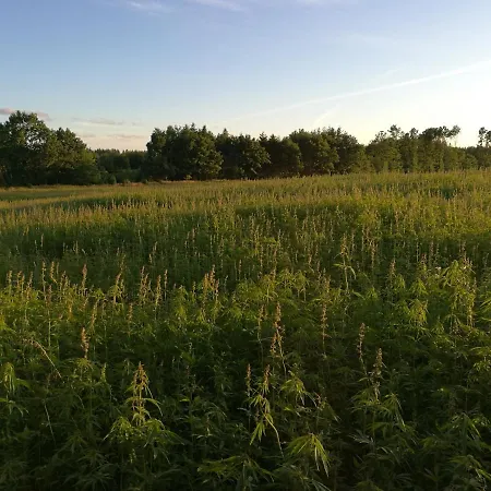 Hærvejsly - Perfekt Familiebase Til Oplevelse Af Sydjylland Feriehus Give