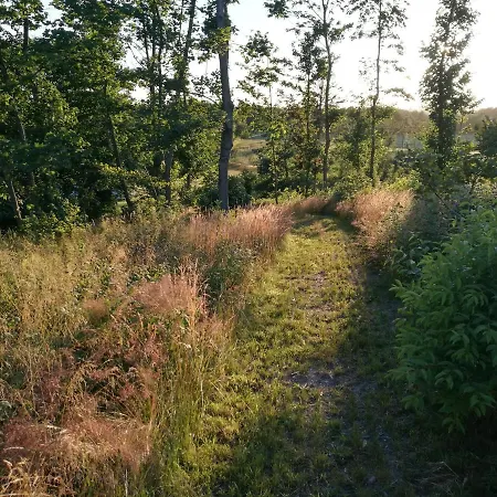 Feriehus Hærvejsly - Perfekt Familiebase Til Oplevelse Af Sydjylland *