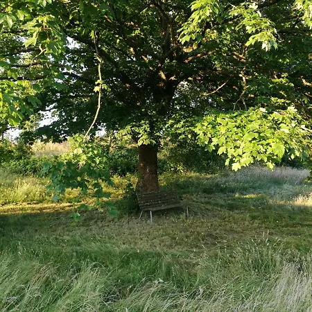 Haervejsly - Perfekt Familiebase Til Oplevelse Af Sydjylland