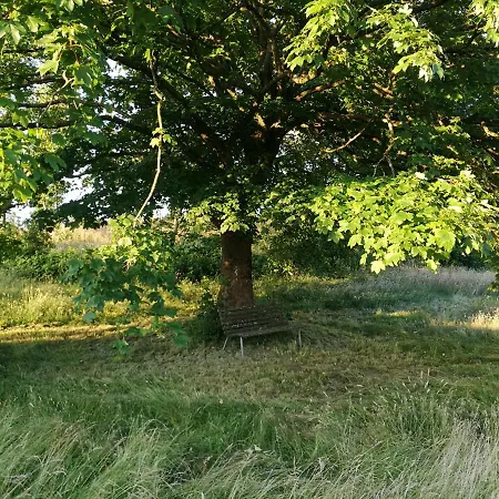 Haervejsly - Perfekt Familiebase Til Oplevelse Af Sydjylland