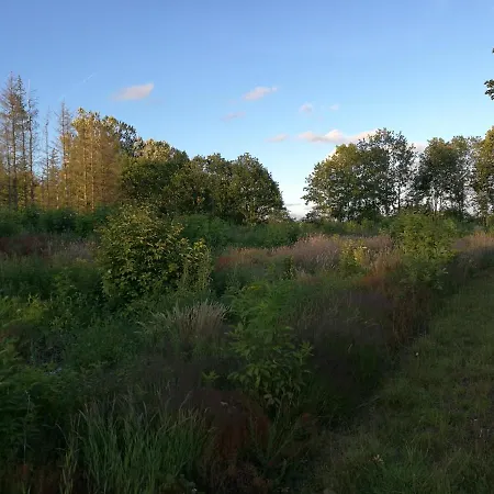 Haervejsly - Perfekt Familiebase Til Oplevelse Af Sydjylland Сasa de vacaciones *