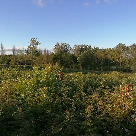 Ferienhaus Haervejsly - Perfekt Familiebase Til Oplevelse Af Sydjylland Give