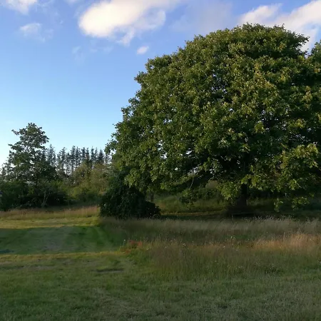Haervejsly - Perfekt Familiebase Til Oplevelse Af Sydjylland Ferienhaus *