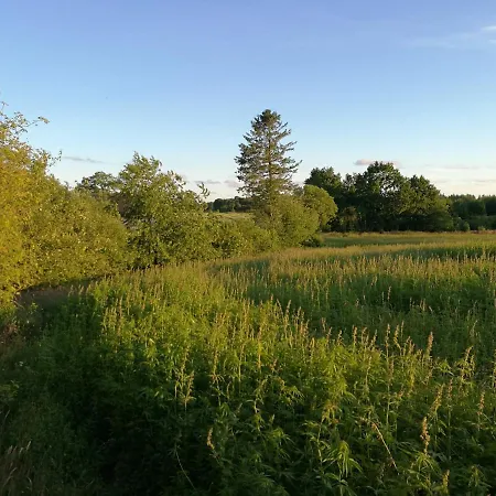 Haervejsly - Perfekt Familiebase Til Oplevelse Af Sydjylland Ferienhaus Give