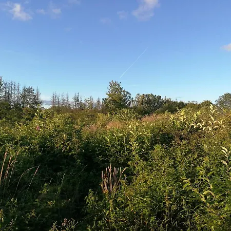 Haervejsly - Perfekt Familiebase Til Oplevelse Af Sydjylland Ferienhaus Give