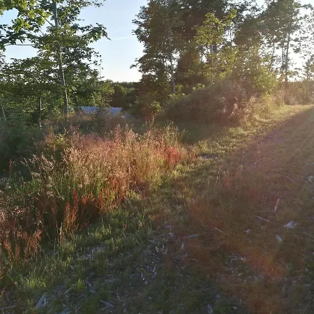 Hærvejsly - Perfekt Familiebase Til Oplevelse Af Sydjylland Give