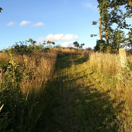 Hærvejsly - Perfekt Familiebase Til Oplevelse Af Sydjylland Feriehus