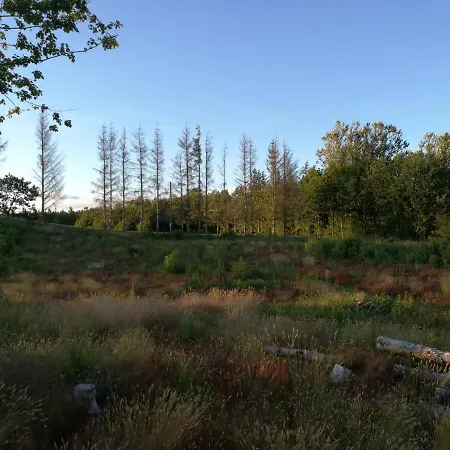 Haervejsly - Perfekt Familiebase Til Oplevelse Af Sydjylland Сasa de vacaciones