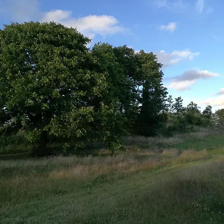 Hærvejsly - Perfekt Familiebase Til Oplevelse Af Sydjylland Give