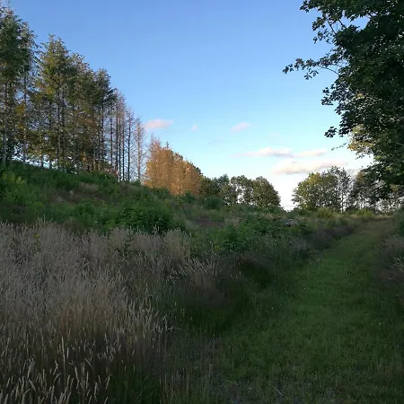 Hærvejsly - Perfekt Familiebase Til Oplevelse Af Sydjylland