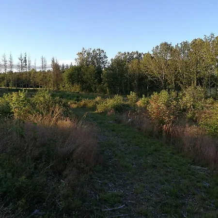 Haervejsly - Perfekt Familiebase Til Oplevelse Af Sydjylland Ferienhaus *