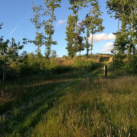 Hærvejsly - Perfekt Familiebase Til Oplevelse Af Sydjylland Feriehus