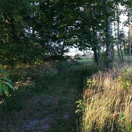 Hærvejsly - Perfekt Familiebase Til Oplevelse Af Sydjylland *