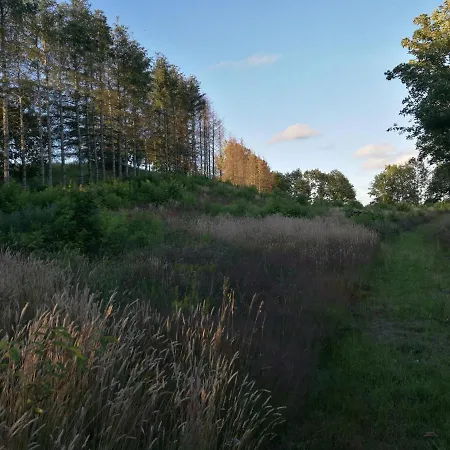 Hærvejsly - Perfekt Familiebase Til Oplevelse Af Sydjylland Feriehus Give