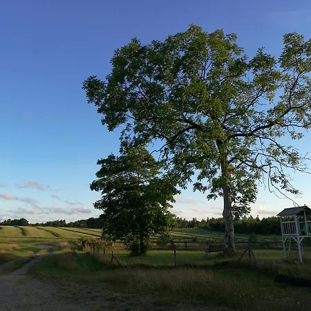 Hærvejsly - Perfekt Familiebase Til Oplevelse Af Sydjylland