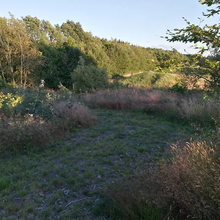 Haervejsly - Perfekt Familiebase Til Oplevelse Af Sydjylland Ferienhaus *