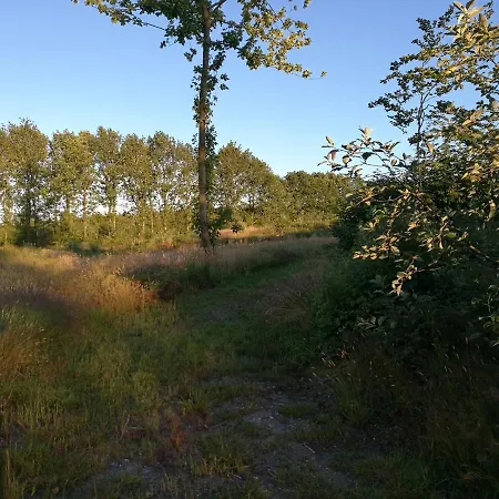 Ferienhaus Haervejsly - Perfekt Familiebase Til Oplevelse Af Sydjylland