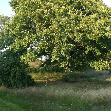 Ferienhaus Haervejsly - Perfekt Familiebase Til Oplevelse Af Sydjylland *