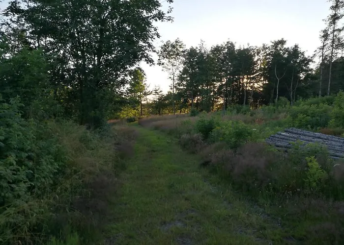 別荘 Haervejsly - Perfekt Familiebase Til Oplevelse Af Sydjylland