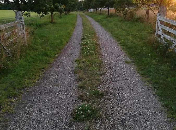 Haervejsly - Perfekt Familiebase Til Oplevelse Af Sydjylland ギブ