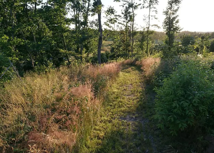 別荘 Haervejsly - Perfekt Familiebase Til Oplevelse Af Sydjylland *