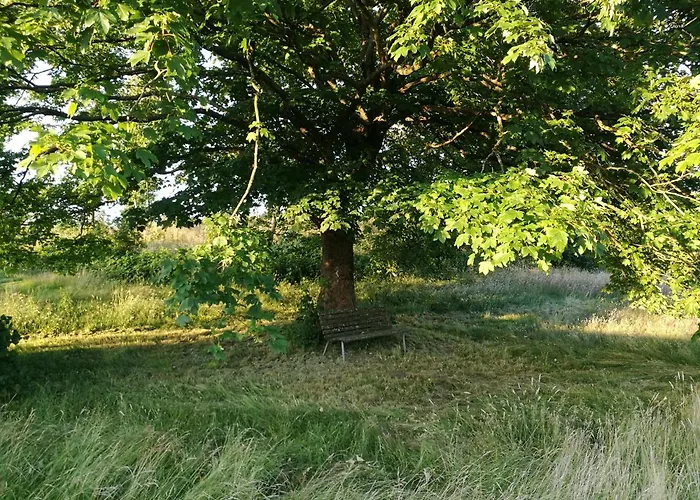 Haervejsly - Perfekt Familiebase Til Oplevelse Af Sydjylland