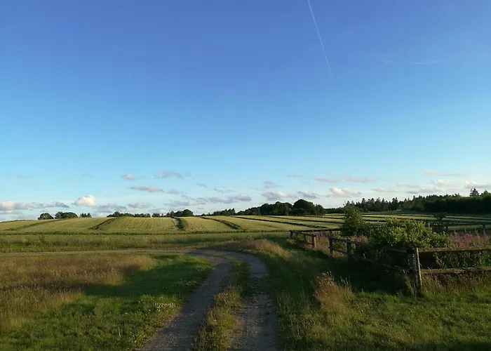 Haervejsly - Perfekt Familiebase Til Oplevelse Af Sydjylland *