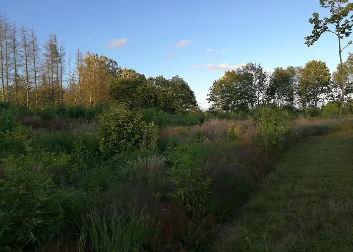 Haervejsly - Perfekt Familiebase Til Oplevelse Af Sydjylland 別荘 *