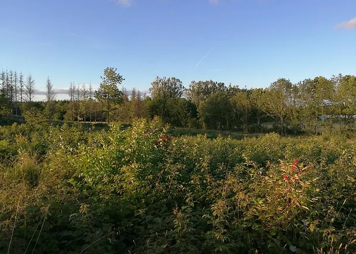 別荘 Haervejsly - Perfekt Familiebase Til Oplevelse Af Sydjylland ギブ