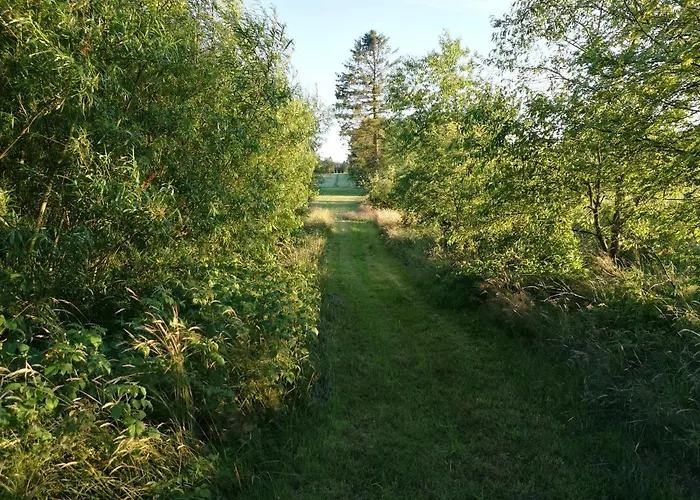 Haervejsly - Perfekt Familiebase Til Oplevelse Af Sydjylland 別荘 ギブ