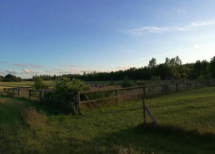 Haervejsly - Perfekt Familiebase Til Oplevelse Af Sydjylland 別荘 *