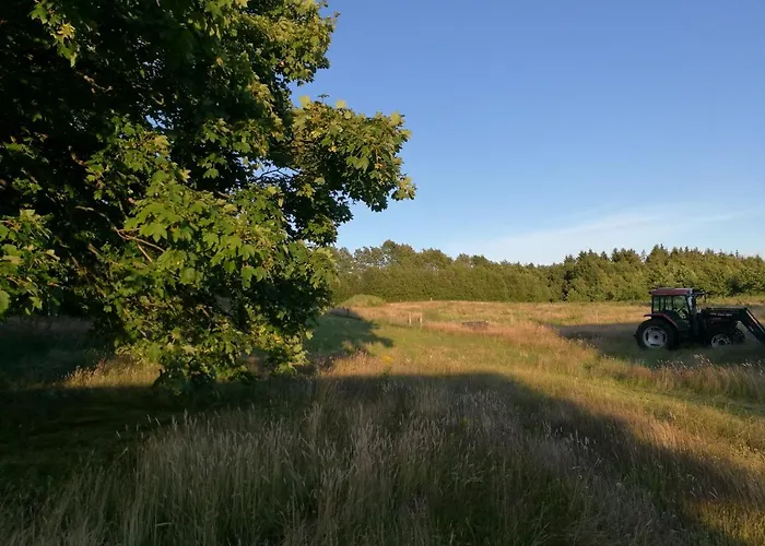 Haervejsly - Perfekt Familiebase Til Oplevelse Af Sydjylland 別荘 *