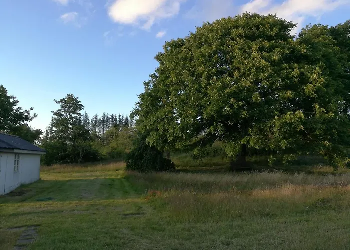 Haervejsly - Perfekt Familiebase Til Oplevelse Af Sydjylland 別荘 *