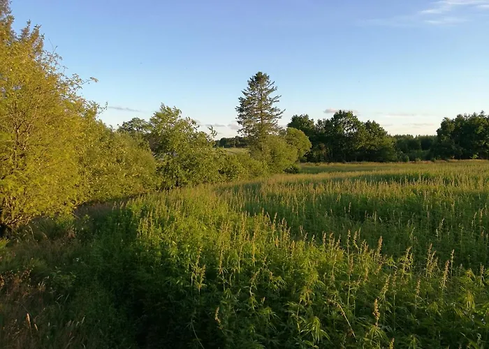 Haervejsly - Perfekt Familiebase Til Oplevelse Af Sydjylland 別荘 ギブ