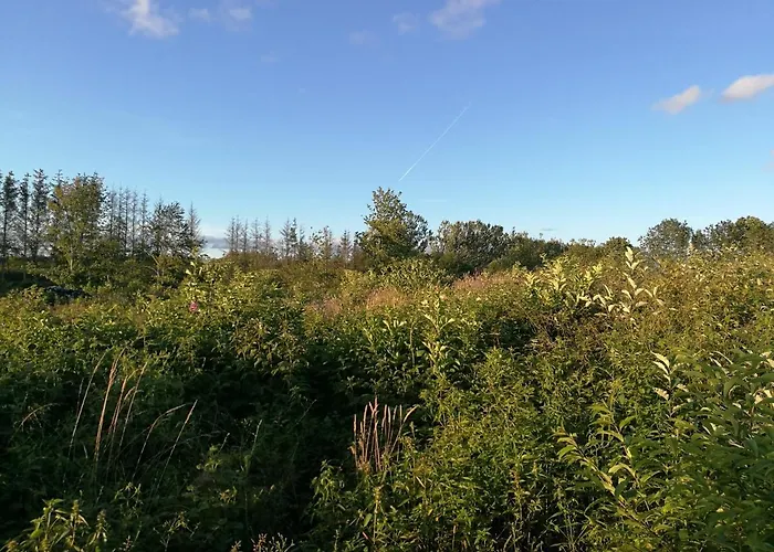 Haervejsly - Perfekt Familiebase Til Oplevelse Af Sydjylland 別荘 ギブ