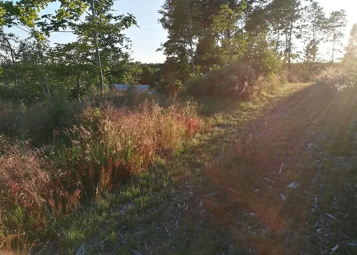 Haervejsly - Perfekt Familiebase Til Oplevelse Af Sydjylland ギブ