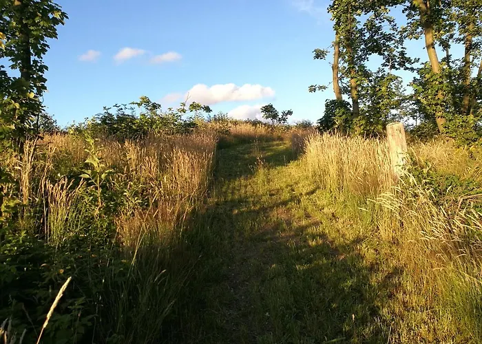 Haervejsly - Perfekt Familiebase Til Oplevelse Af Sydjylland 別荘