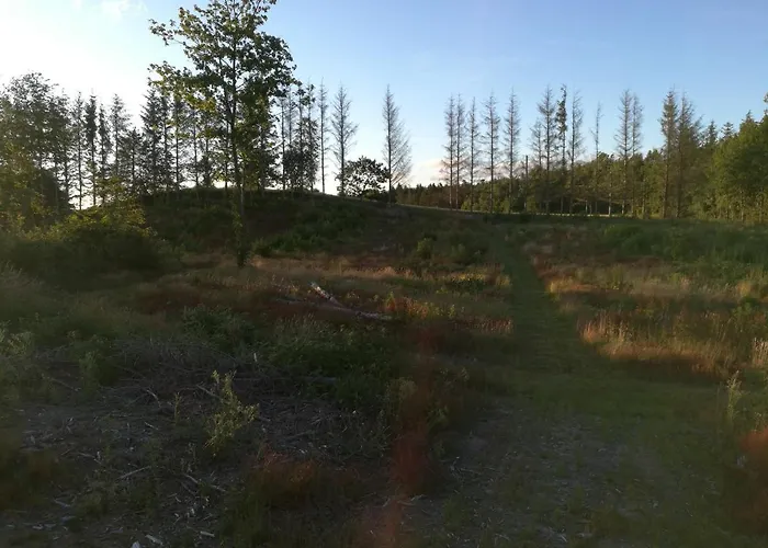 Haervejsly - Perfekt Familiebase Til Oplevelse Af Sydjylland ギブ