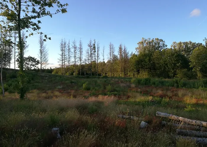 Haervejsly - Perfekt Familiebase Til Oplevelse Af Sydjylland 別荘