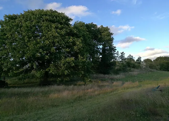 Haervejsly - Perfekt Familiebase Til Oplevelse Af Sydjylland ギブ