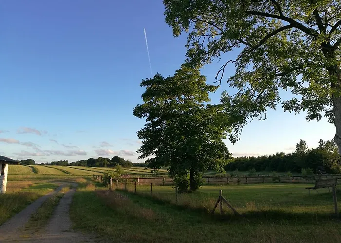 Haervejsly - Perfekt Familiebase Til Oplevelse Af Sydjylland ギブ