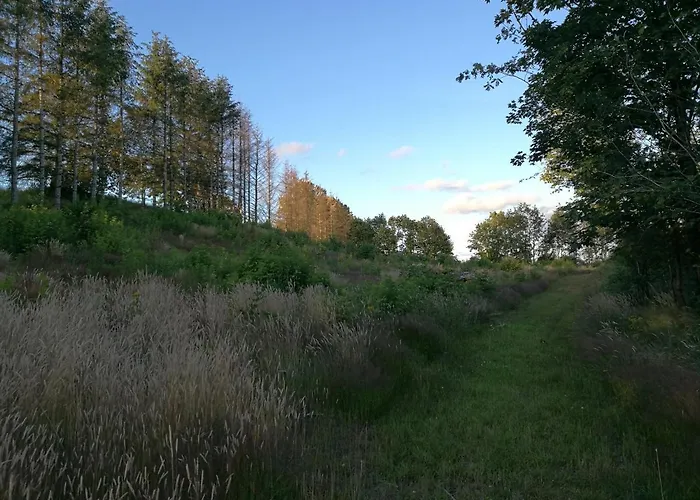 Haervejsly - Perfekt Familiebase Til Oplevelse Af Sydjylland