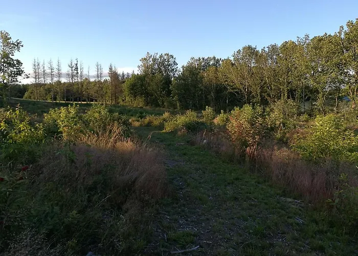 Haervejsly - Perfekt Familiebase Til Oplevelse Af Sydjylland 別荘 *