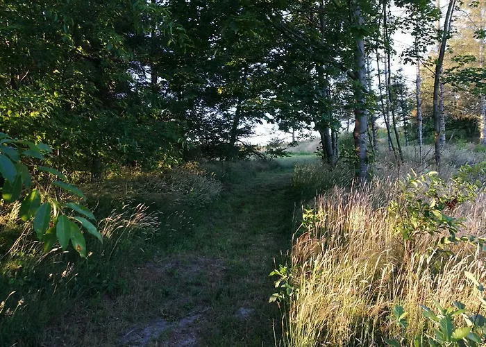 Haervejsly - Perfekt Familiebase Til Oplevelse Af Sydjylland *