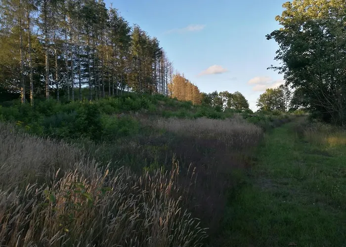 Haervejsly - Perfekt Familiebase Til Oplevelse Af Sydjylland 別荘 ギブ