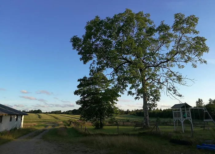 Haervejsly - Perfekt Familiebase Til Oplevelse Af Sydjylland