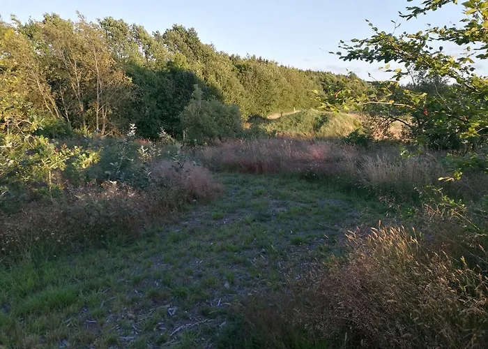 Haervejsly - Perfekt Familiebase Til Oplevelse Af Sydjylland 別荘 *