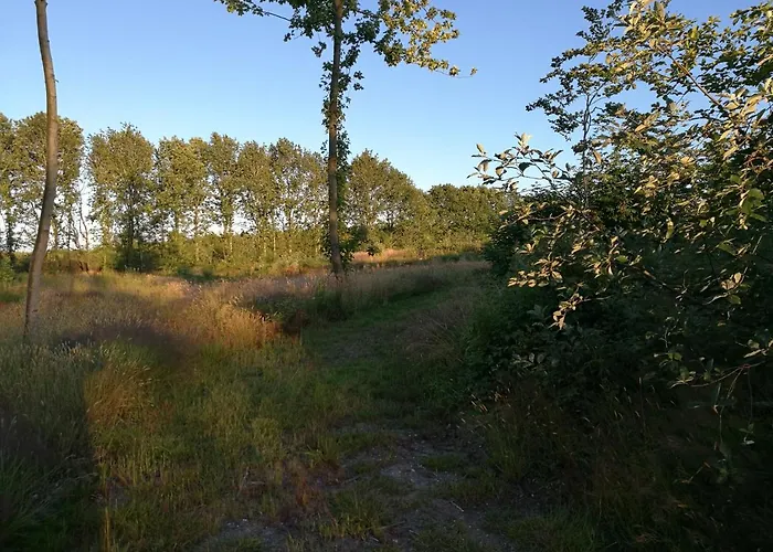 別荘 Haervejsly - Perfekt Familiebase Til Oplevelse Af Sydjylland