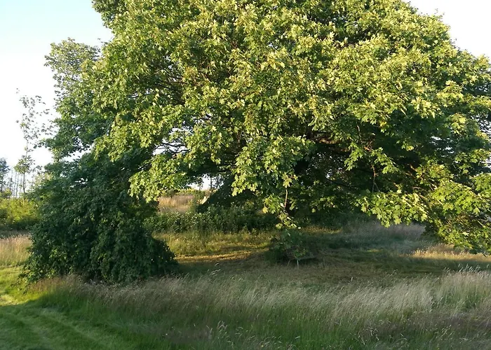 別荘 Haervejsly - Perfekt Familiebase Til Oplevelse Af Sydjylland *